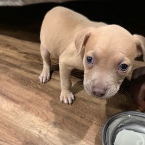 Meet your Posher, Alexiana